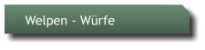 Welpen - Wrfe